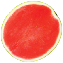 melon